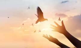 塔拉妥单抗获批！小细胞肺癌治疗迎来质的飞跃