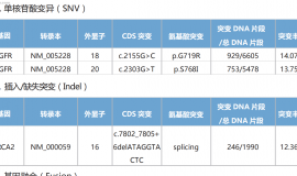 各位大神朋友，基因检测如图所示，靶向药用什么合适呢？