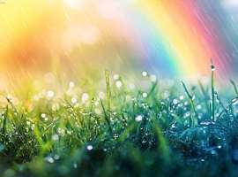 70天肺癌转移灶全部消失，我打赢了这场抗癌翻身仗！