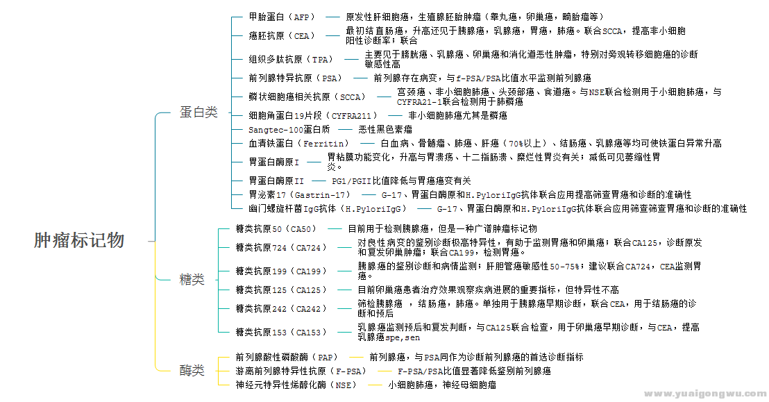 肿瘤标记物思维导图