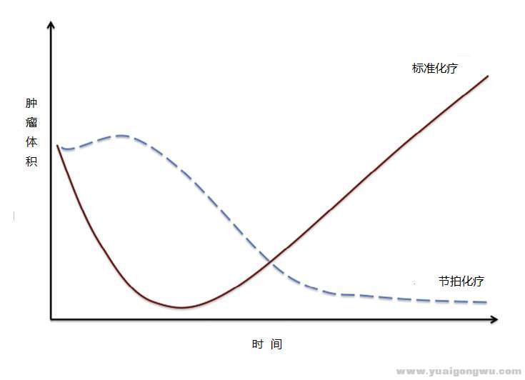 节拍化疗对比标准化疗.jpg