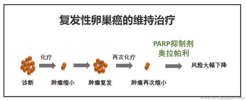 QQ图片20180823143535.jpg