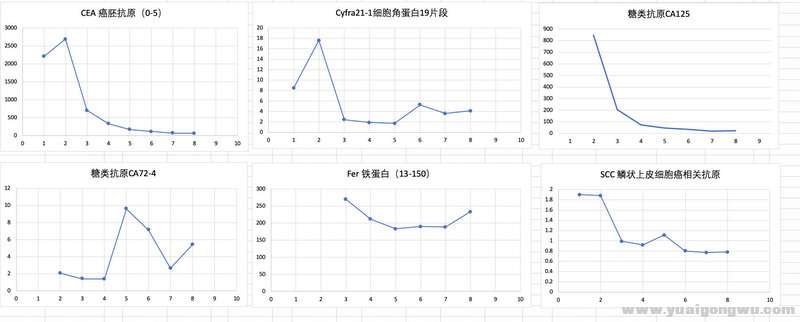 治疗135天 检查163天 图形.jpg