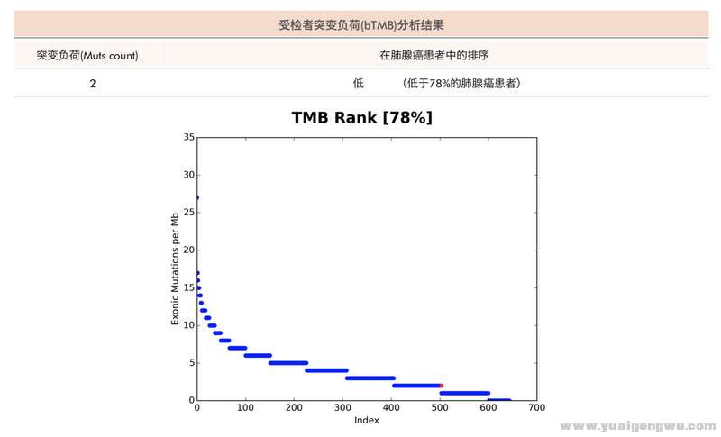 基因 重点00006.jpg