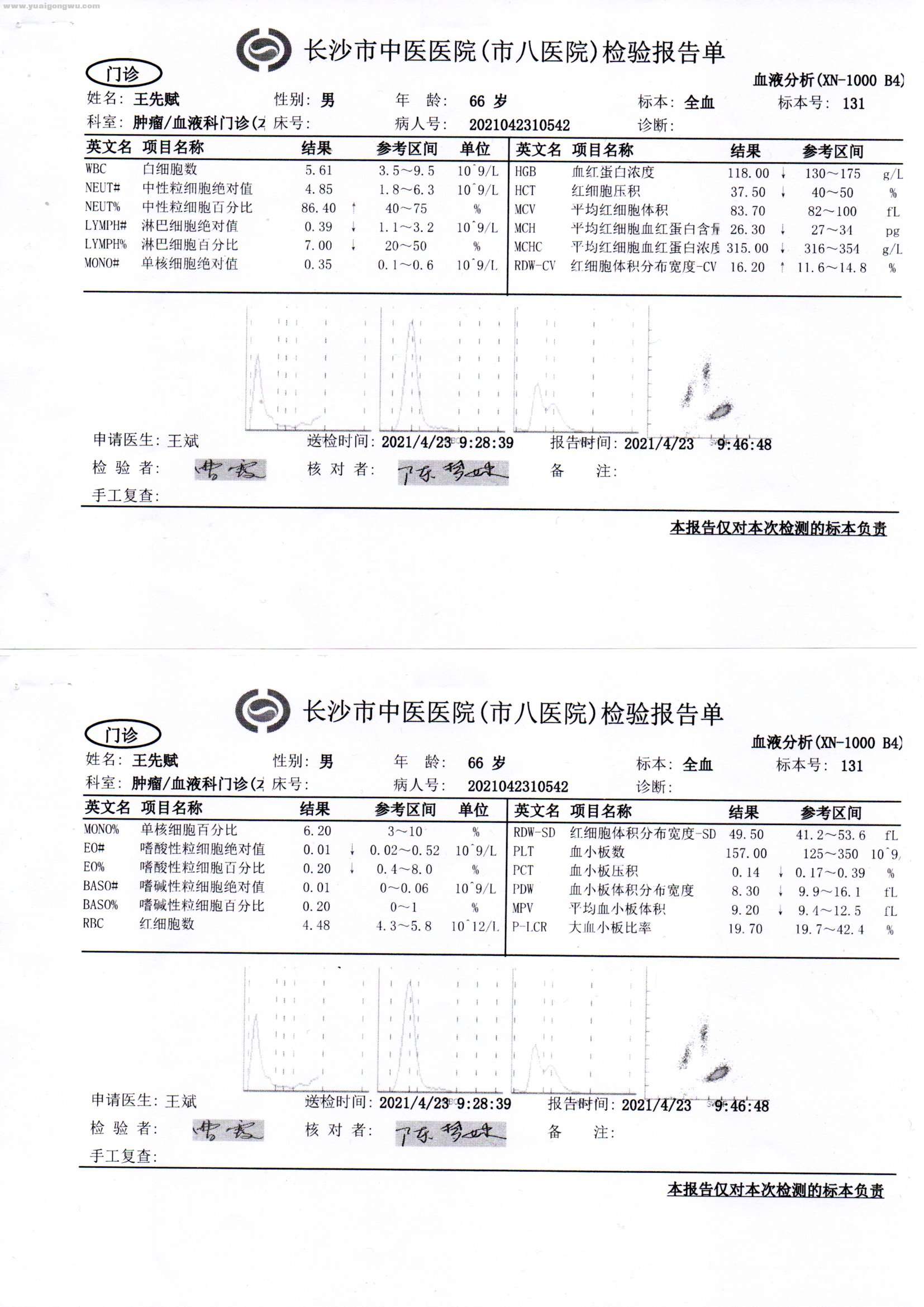 八医院复查血常规2021.4.23.jpg