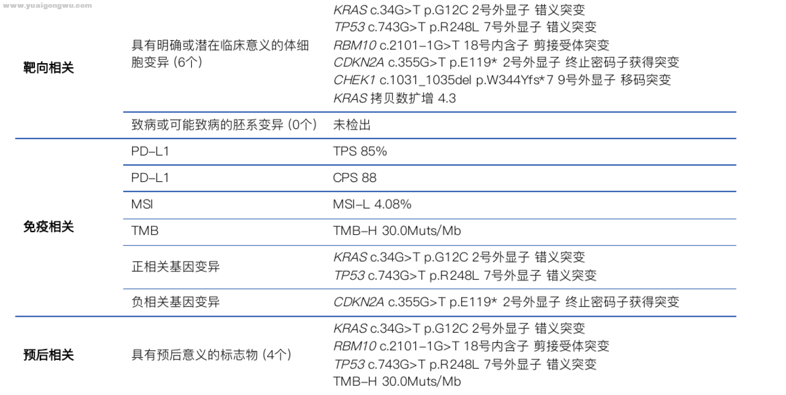 免疫报告